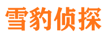 衡阳捉小三公司